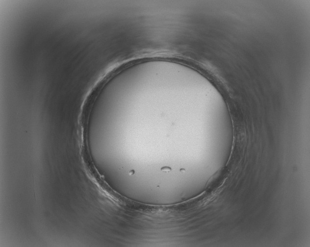 X0000071961414200608041607