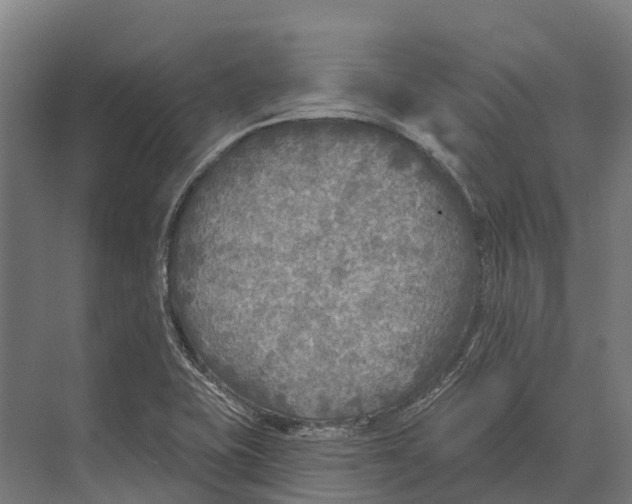 X0000071961415200608041607