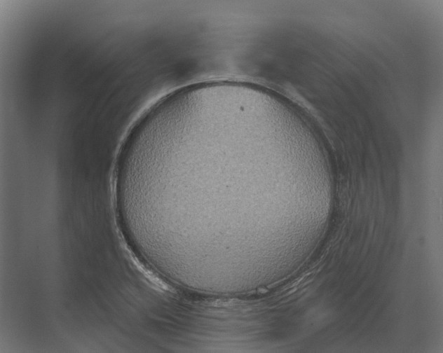 X0000071961416200608041607