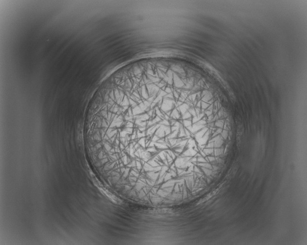 X0000071961417200608041607