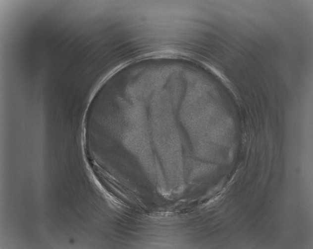 X0000071961418200608041607