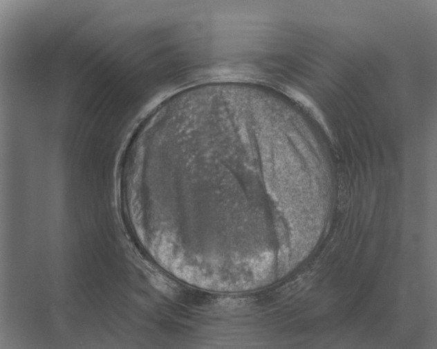 X0000071961419200608041607