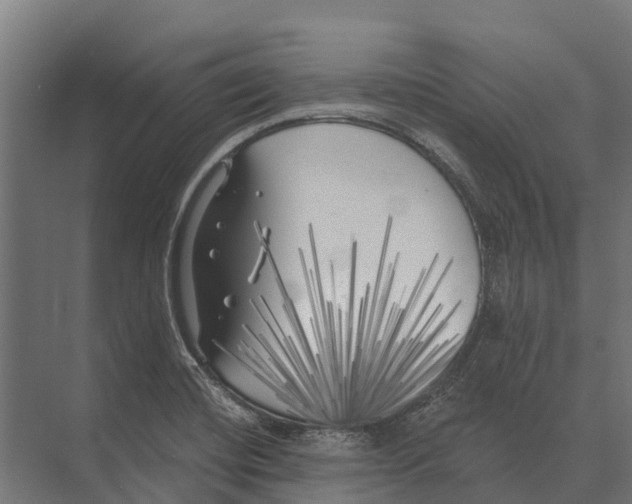 X0000071961420200608041607