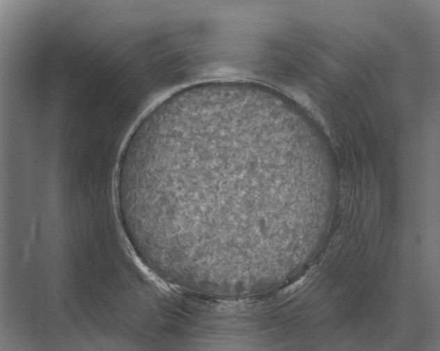 X0000071961421200608041607