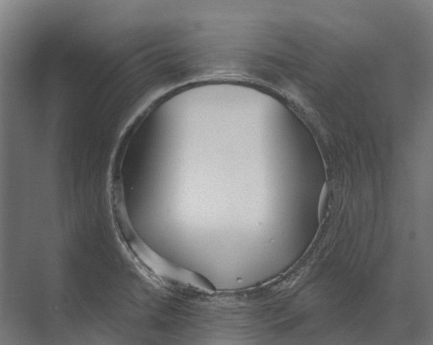 X0000071961422200608041607