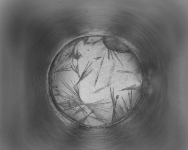 X0000071961423200608041607