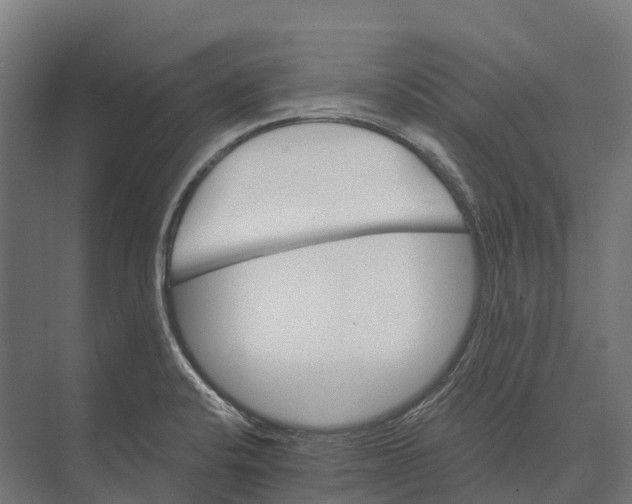 X0000071961424200608041607