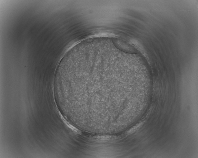 X0000071961425200608041607