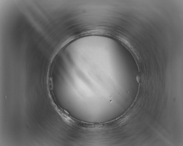 X0000071961426200608041607