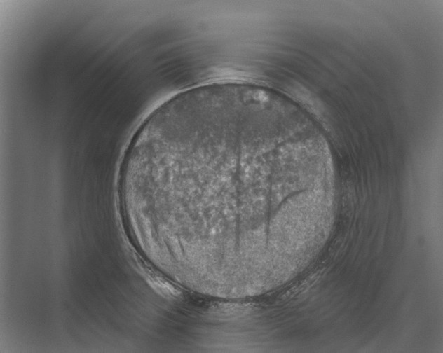 X0000071961427200608041607