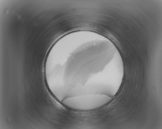 X0000071961428200608041607