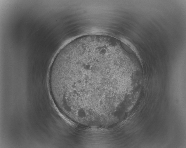 X0000071961429200608041607