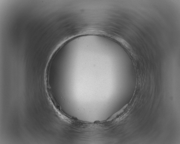 X0000071961430200608041607