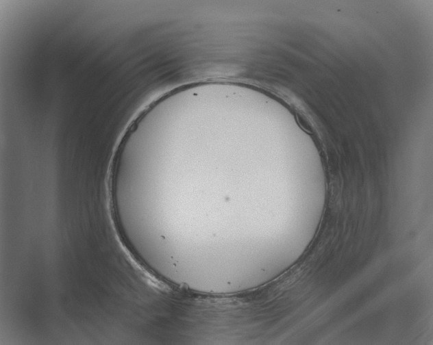 X0000071961432200608041607