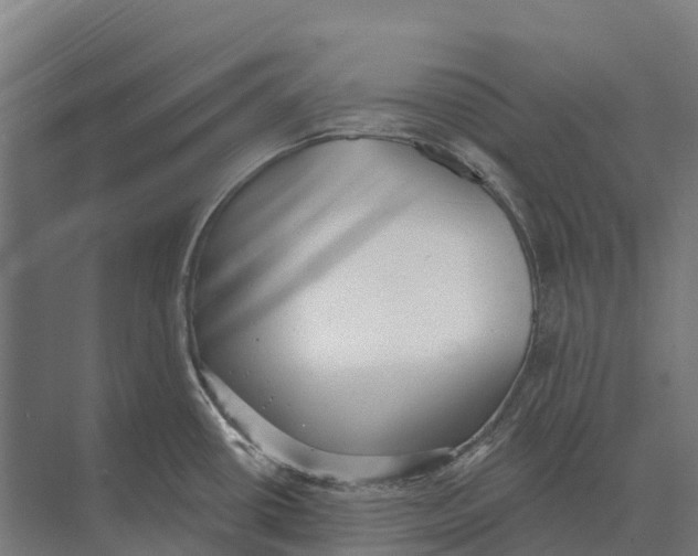 X0000071961434200608041607