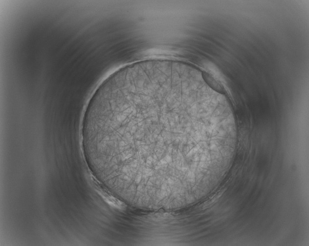 X0000071961435200608041607