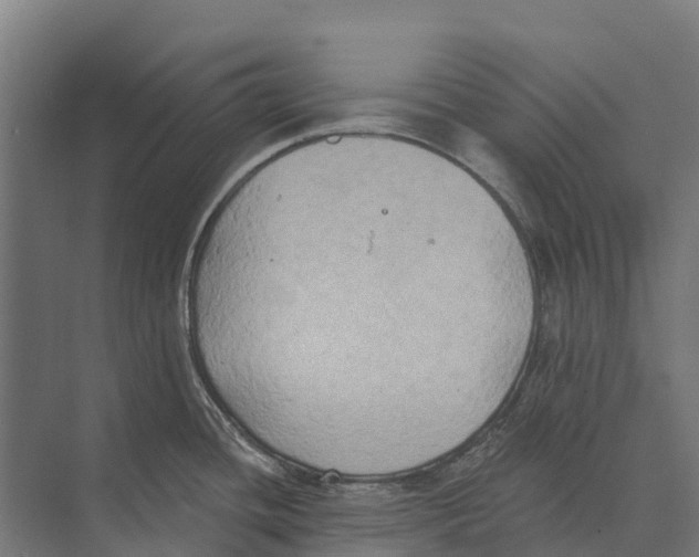 X0000071961436200608041608