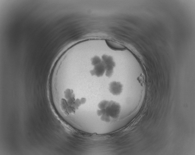 X0000071961440200608041608