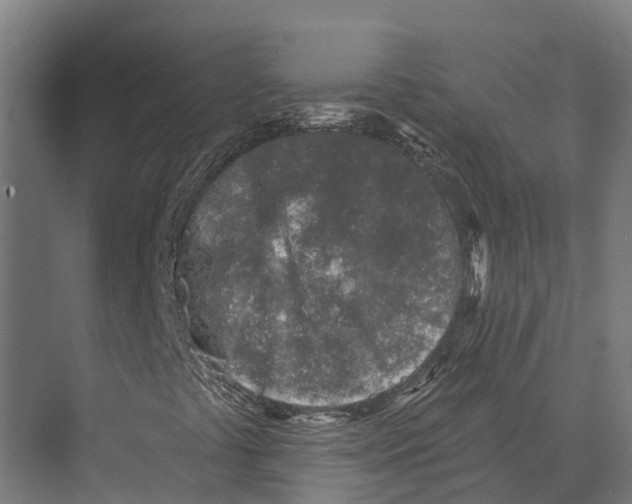 X0000071961441200608041607