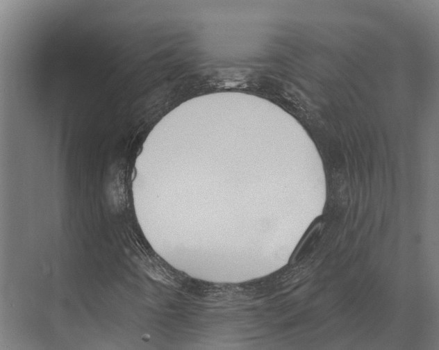 X0000071961442200608041607