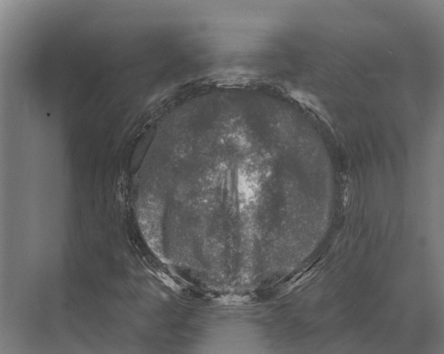 X0000071961445200608041607