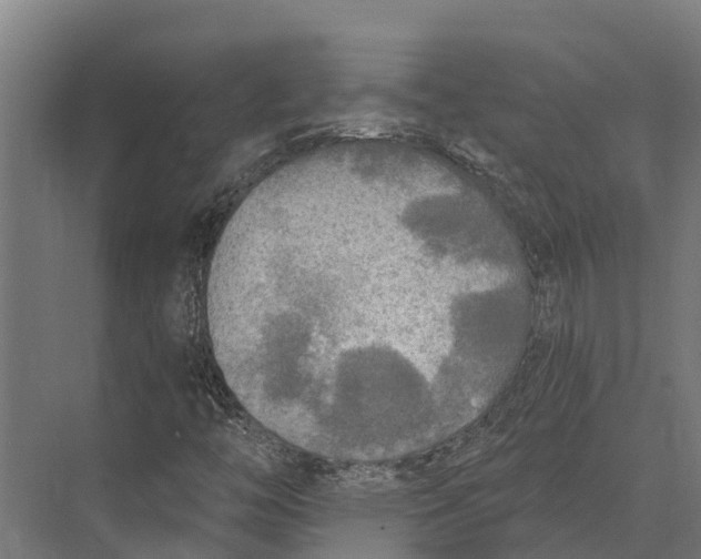 X0000071961446200608041607