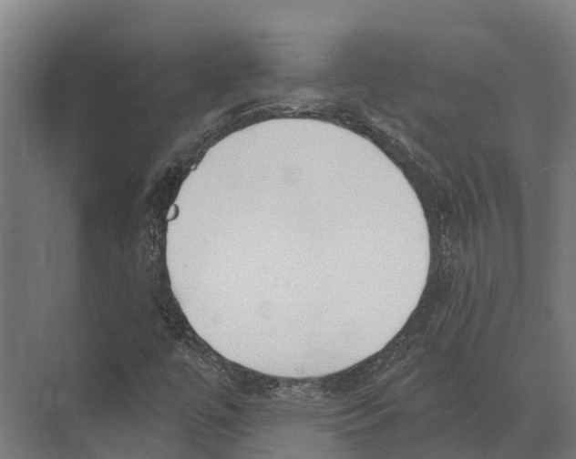 X0000071961447200608041607