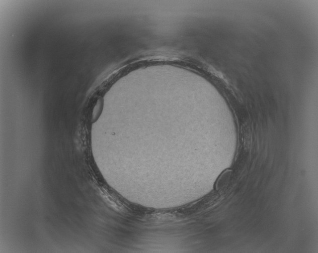 X0000071961448200608041607