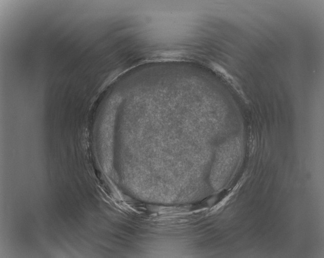 X0000071961449200608041607