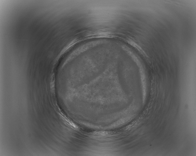 X0000071961450200608041607