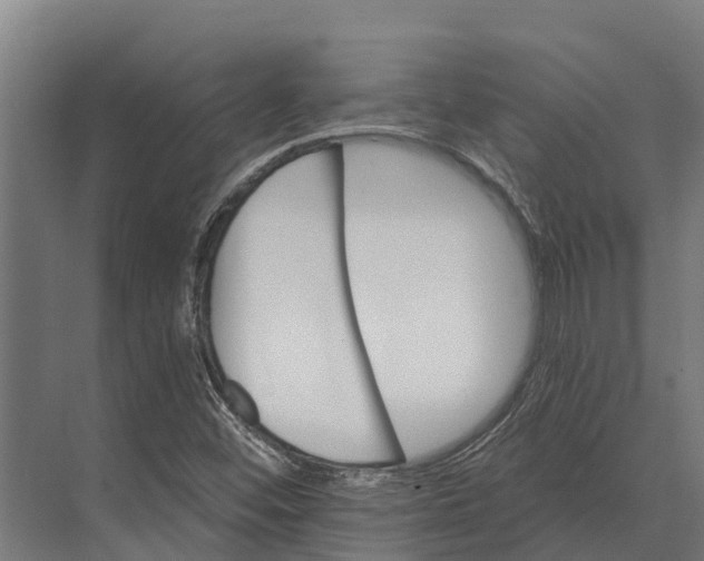 X0000071961452200608041607