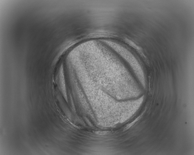 X0000071961453200608041607