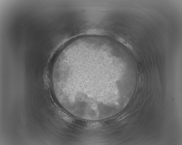 X0000071961454200608041607