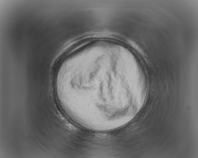 X0000071961456200608041607