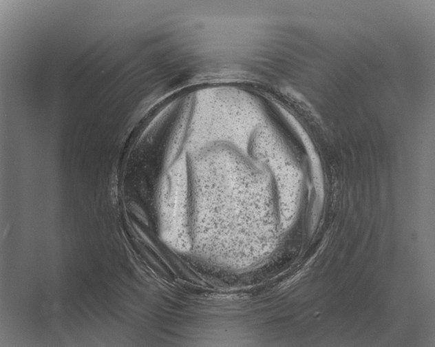 X0000071961457200608041607