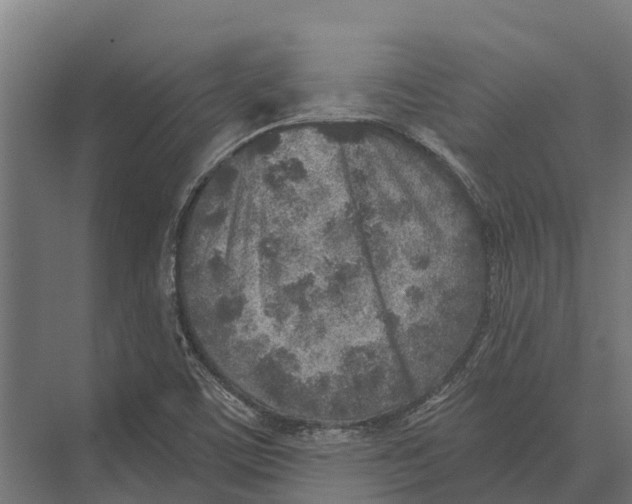 X0000071961459200608041606