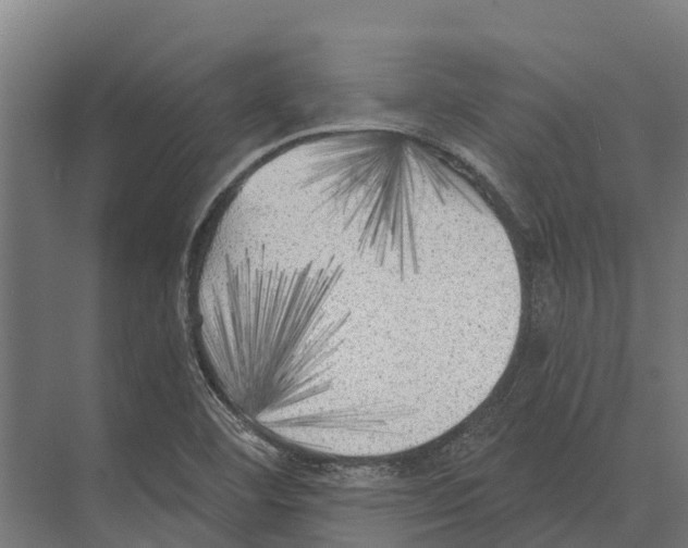 X0000071961460200608041606