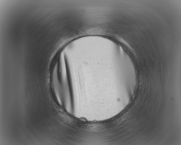 X0000071961461200608041606