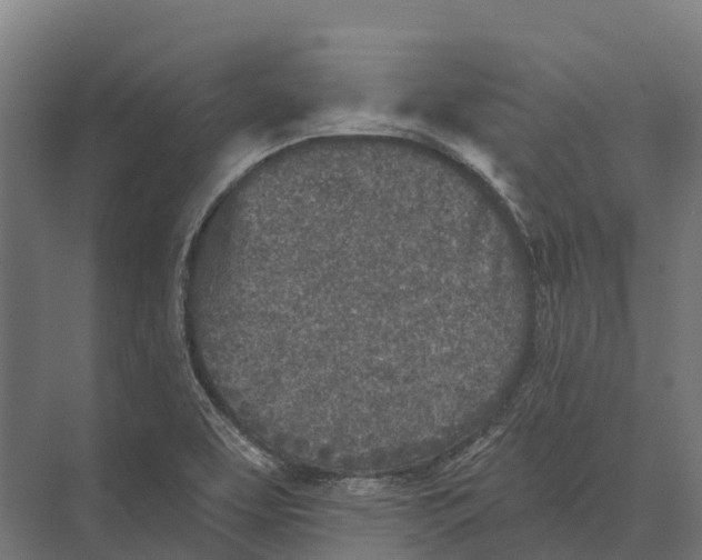 X0000071961463200608041606