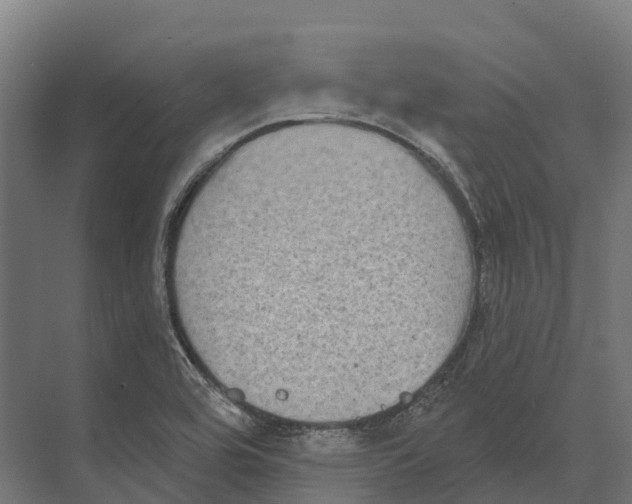 X0000071961464200608041606