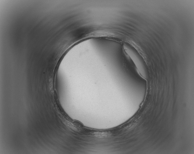 X0000071961465200608041606