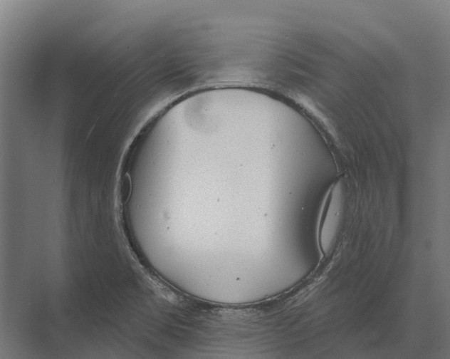 X0000071961469200608041606