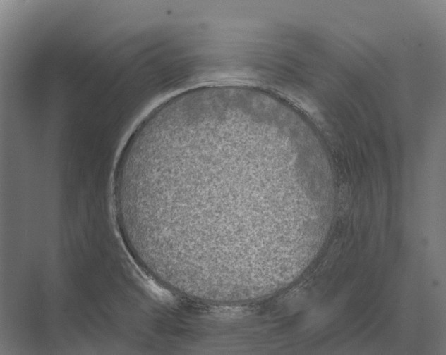 X0000071961470200608041606