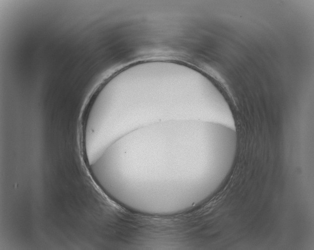 X0000071961472200608041606