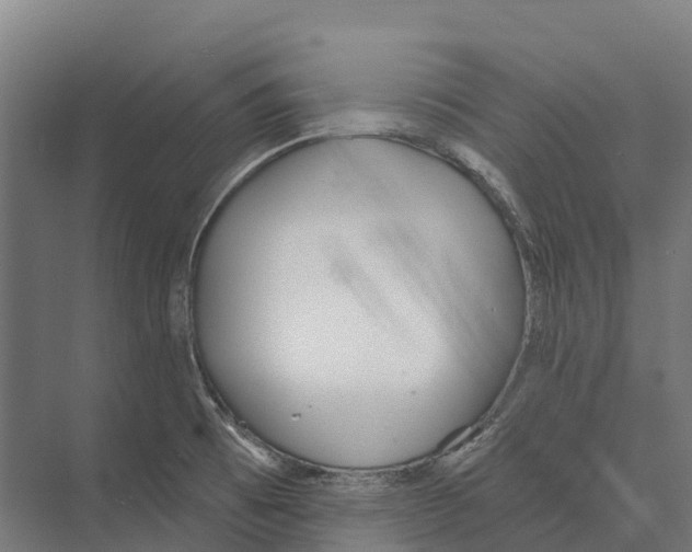 X0000071961473200608041606