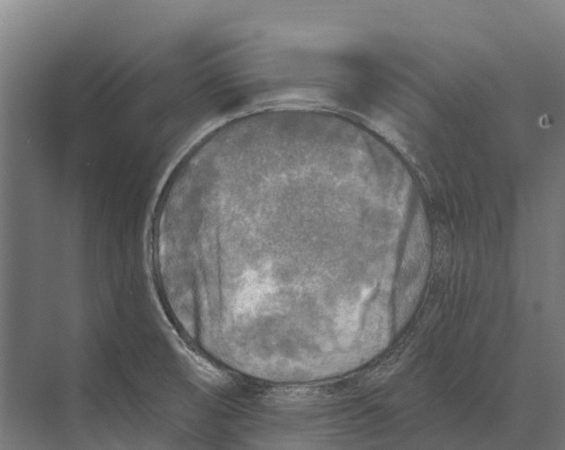 X0000071961474200608041606