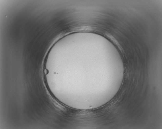 X0000071961475200608041606