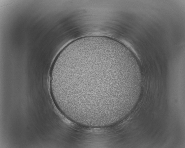 X0000071961476200608041606