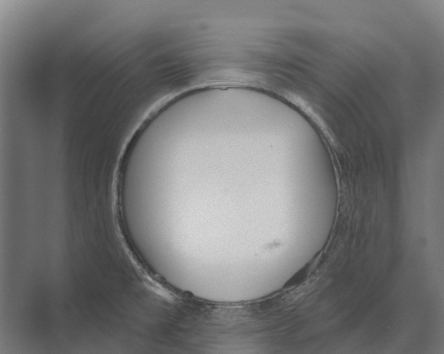 X0000071961477200608041606