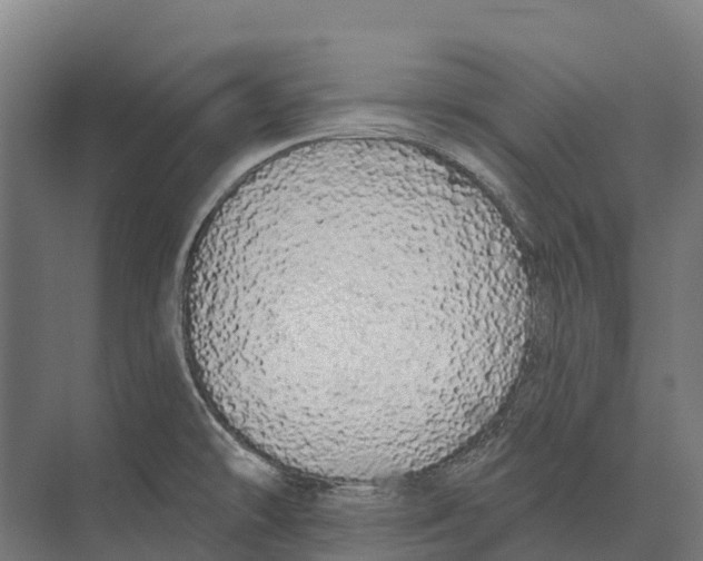 X0000071961478200608041606